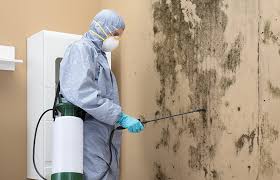 Professional Mold Remediation in Tipton, IA